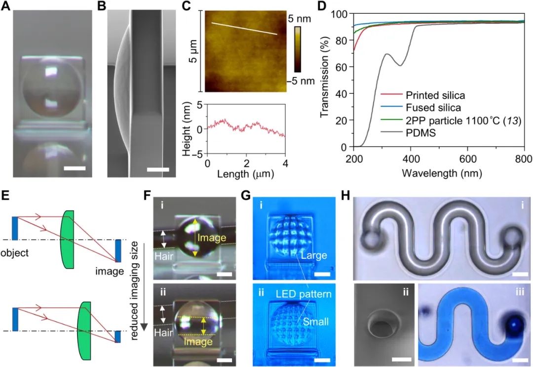 喬治亞理工學院開創(chuàng)光化學策略，溫和條件下3D打印微米級玻璃結(jié)構(gòu)