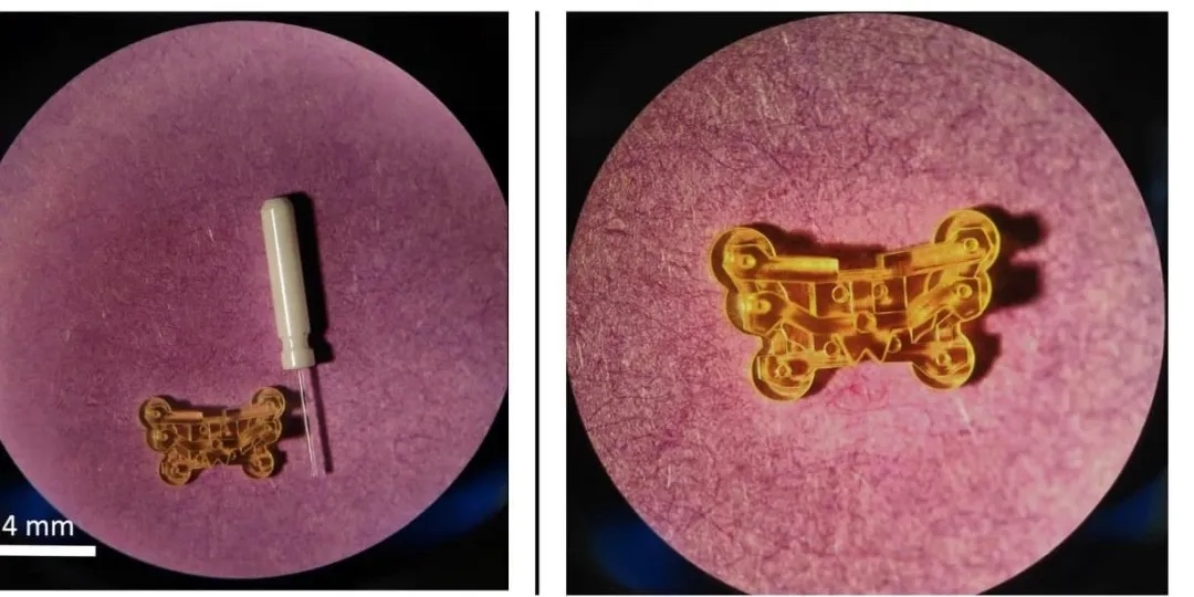 3D打印技術(shù)開(kāi)啟神經(jīng)科學(xué)研究的新紀(jì)元  